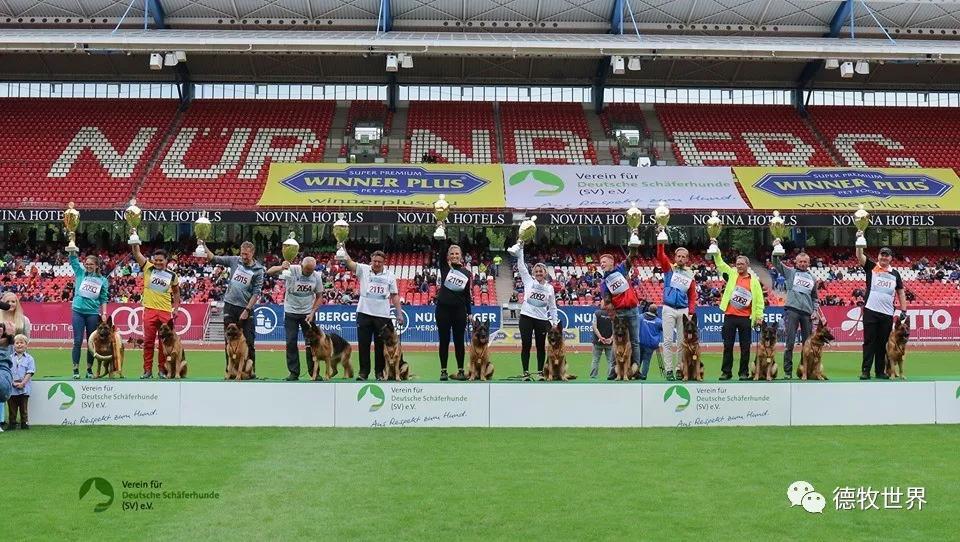 开云登录入口-锐不可当首场状态出色，老鹰观众沸腾！，Ning重返赛场赛场气氛高涨的简单介绍